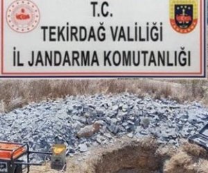 Ayçiçeği Tarlasında Tarihi Eser Aramışlar