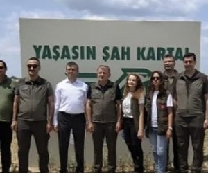 Tekirdağda Şah Kartalları İçin Seferberlik ...
